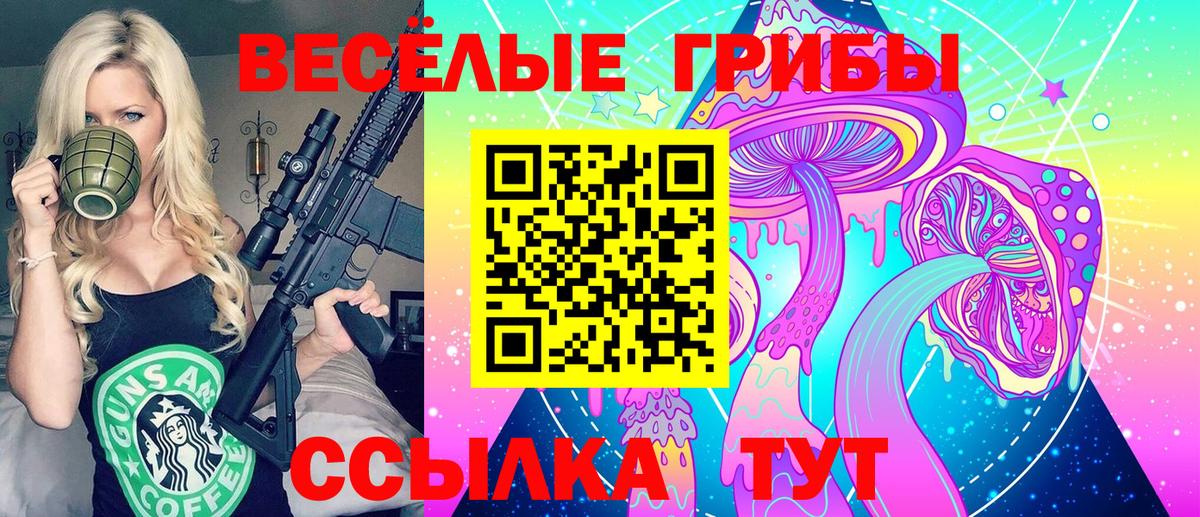 Богданович  Галлюциногенные грибы ЛСД  Вход с VPN 