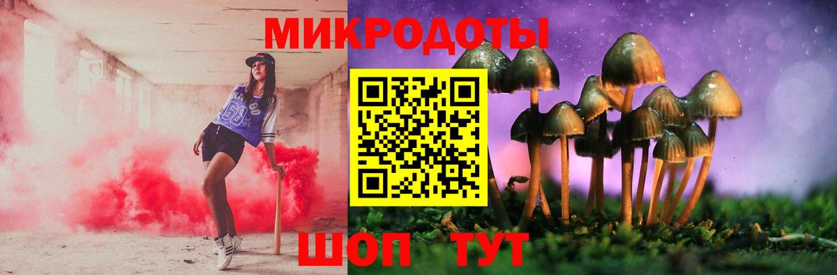 Псилоцибиновые грибы Magic Shrooms Богданович